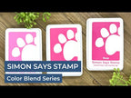 Simon Says Stamp Pawsitively Saturated Ink And Re-Inker Set Gradient 3