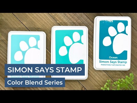 Simon Says Stamp Pawsitively Saturated Ink And Re-Inker Set Gradient 1