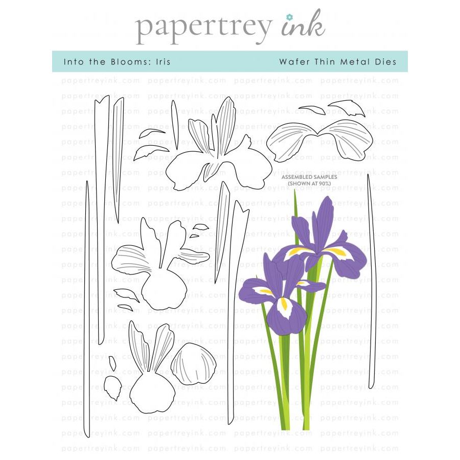 Papertrey Ink Into the Blooms Iris Dies PTI-0659