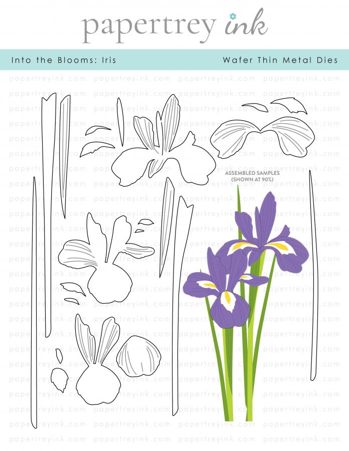 Papertrey Ink Into the Blooms Iris Dies PTI-0659