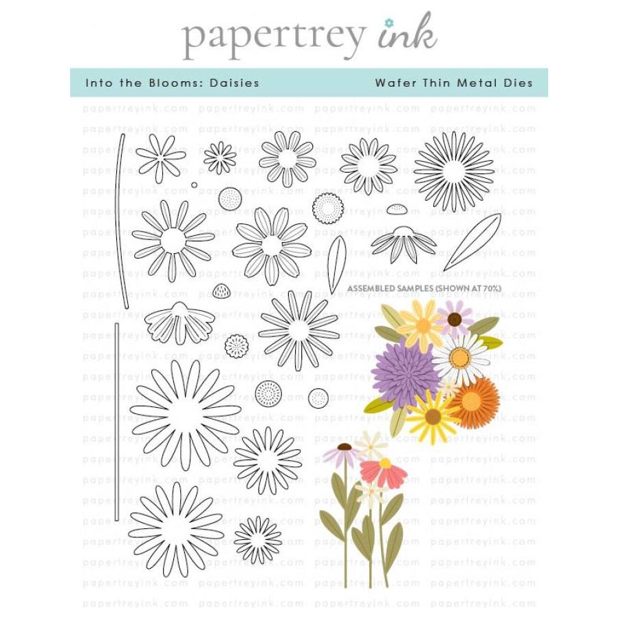 Papertrey Ink Into The Blooms Daisies Dies pti-0758