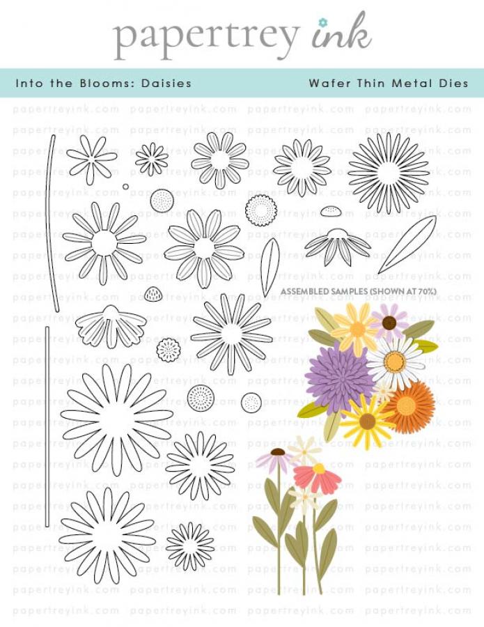 Papertrey Ink Into The Blooms Daisies Dies pti-0758