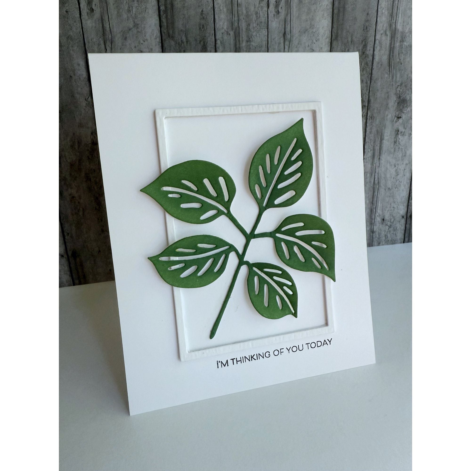 Simon Says Stamp Rose Branch Wafer Dies 1316md Friend Like You Thinking of You Card