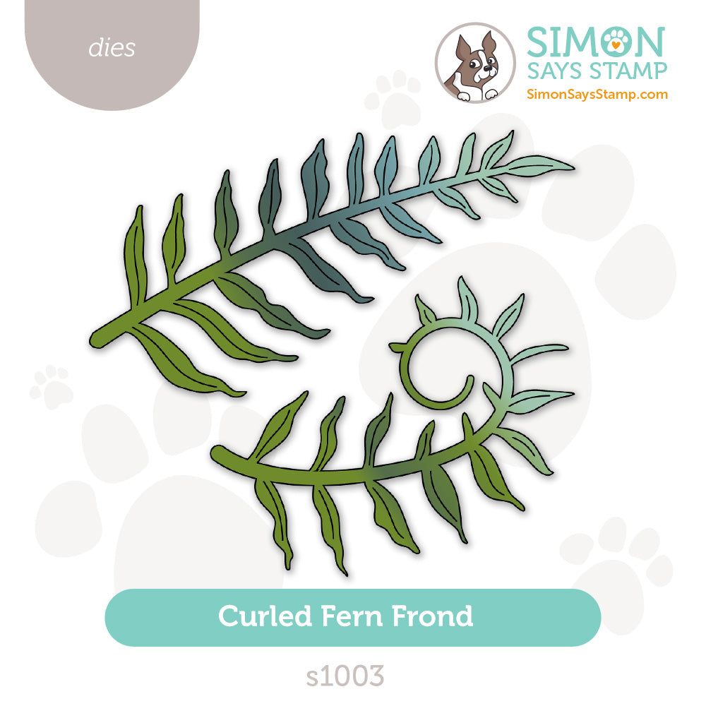 Simon Says Stamp Curled Fern Frond Wafer Dies s1003 Moments in Time