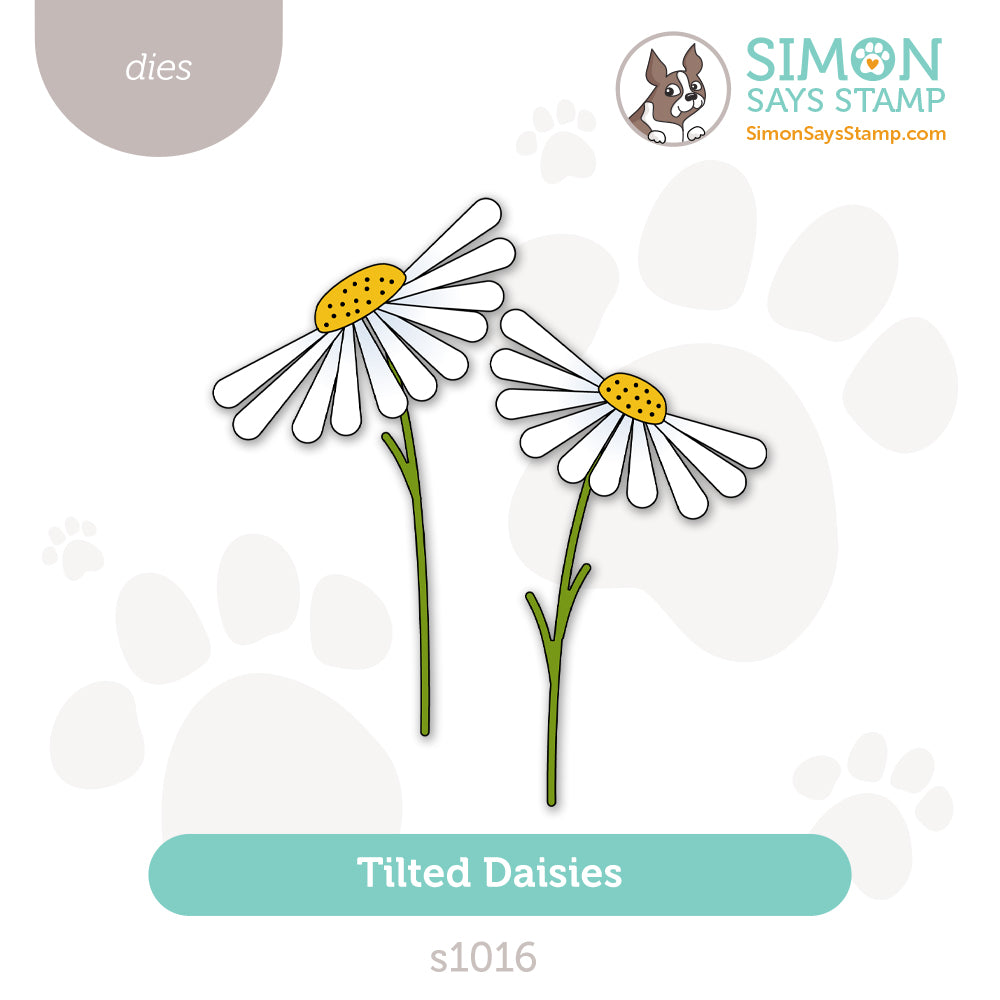 Simon Says Stamp Tilted Daisies Wafer Dies s1016 Friend Like You