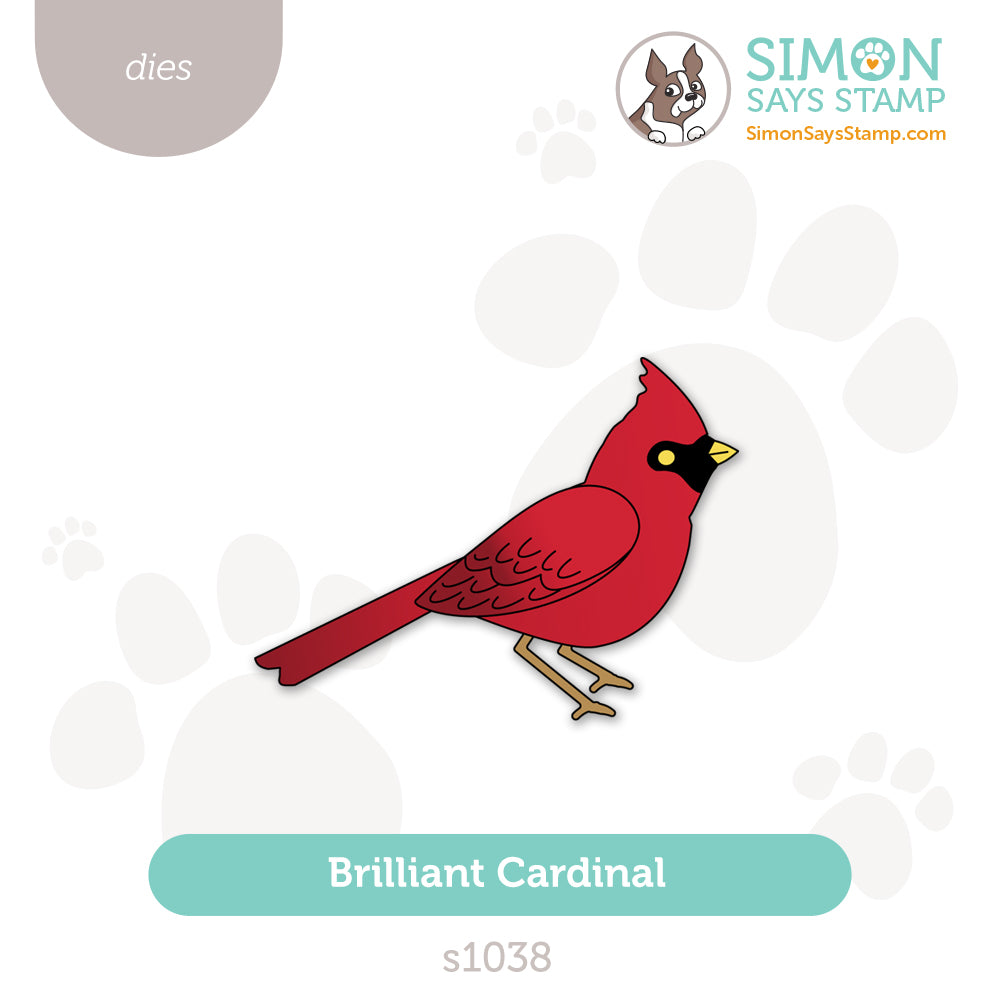 Simon Says Stamp Brilliant Cardinal Wafer Dies s1038 And Everything Nice