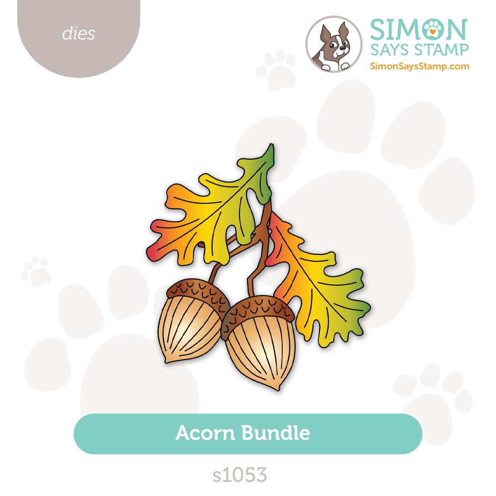 Simon Says Stamp Acorn Bundle Wafer Dies s1053 STAMPtember