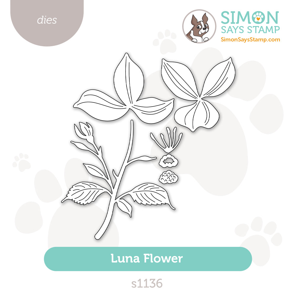 Simon Says Stamp Luna Flower Wafer Dies s1136 Always There