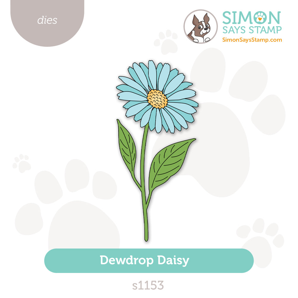 Simon Says Stamp Dewdrop Daisy Wafer Dies s1153 Shine On