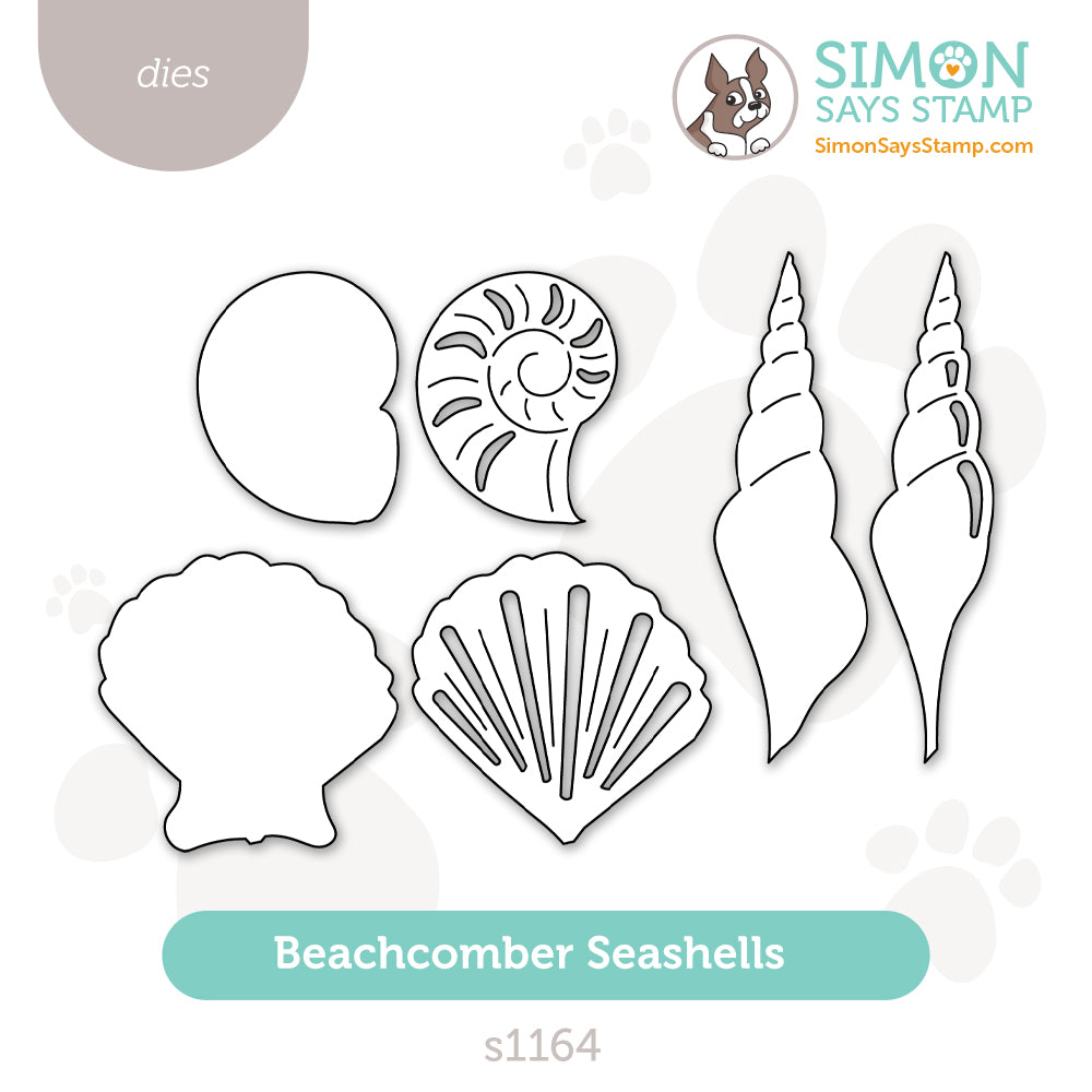 Simon Says Stamp Beachcomber Seashells Wafer Dies s1164 Shine On