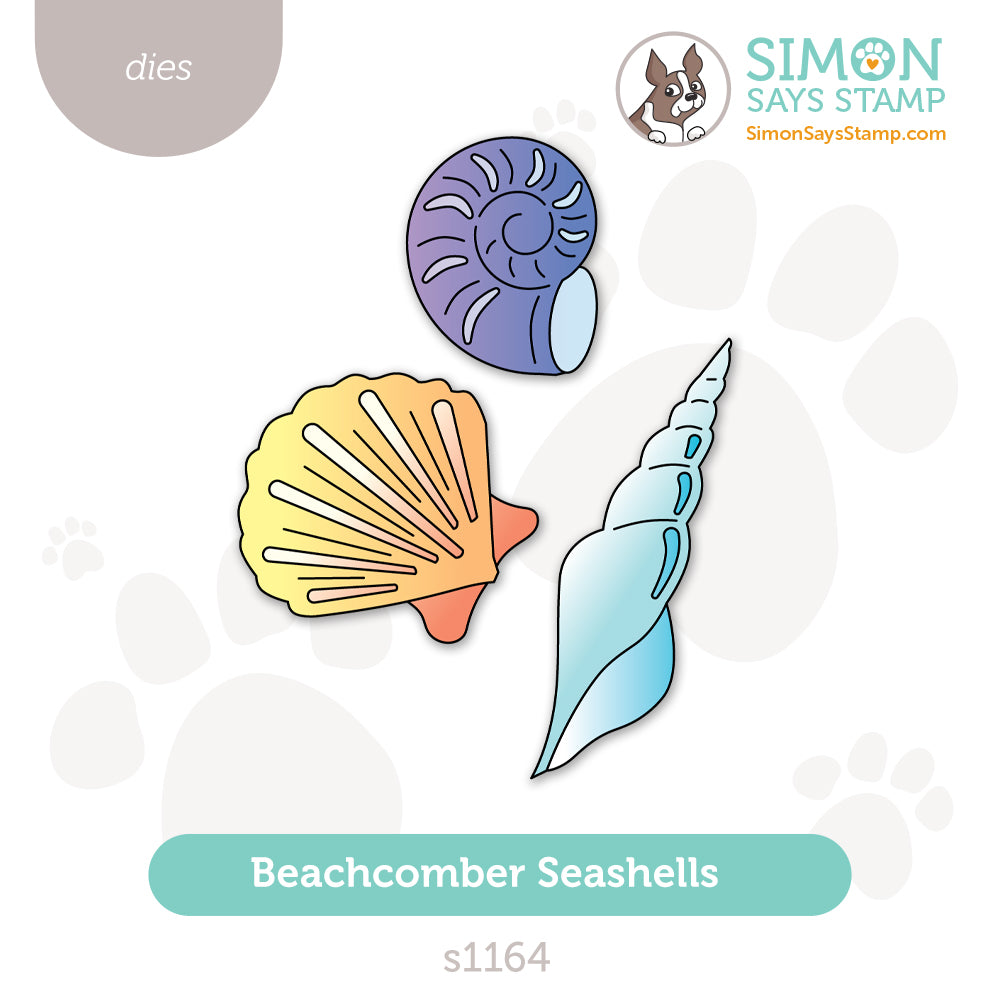Simon Says Stamp Beachcomber Seashells Wafer Dies s1164 Shine On