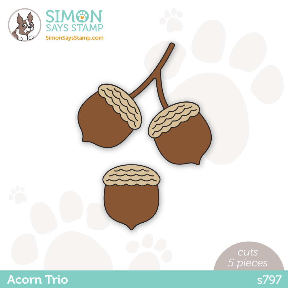 Simon Says Stamp ACORN TRIO Wafer Dies s797