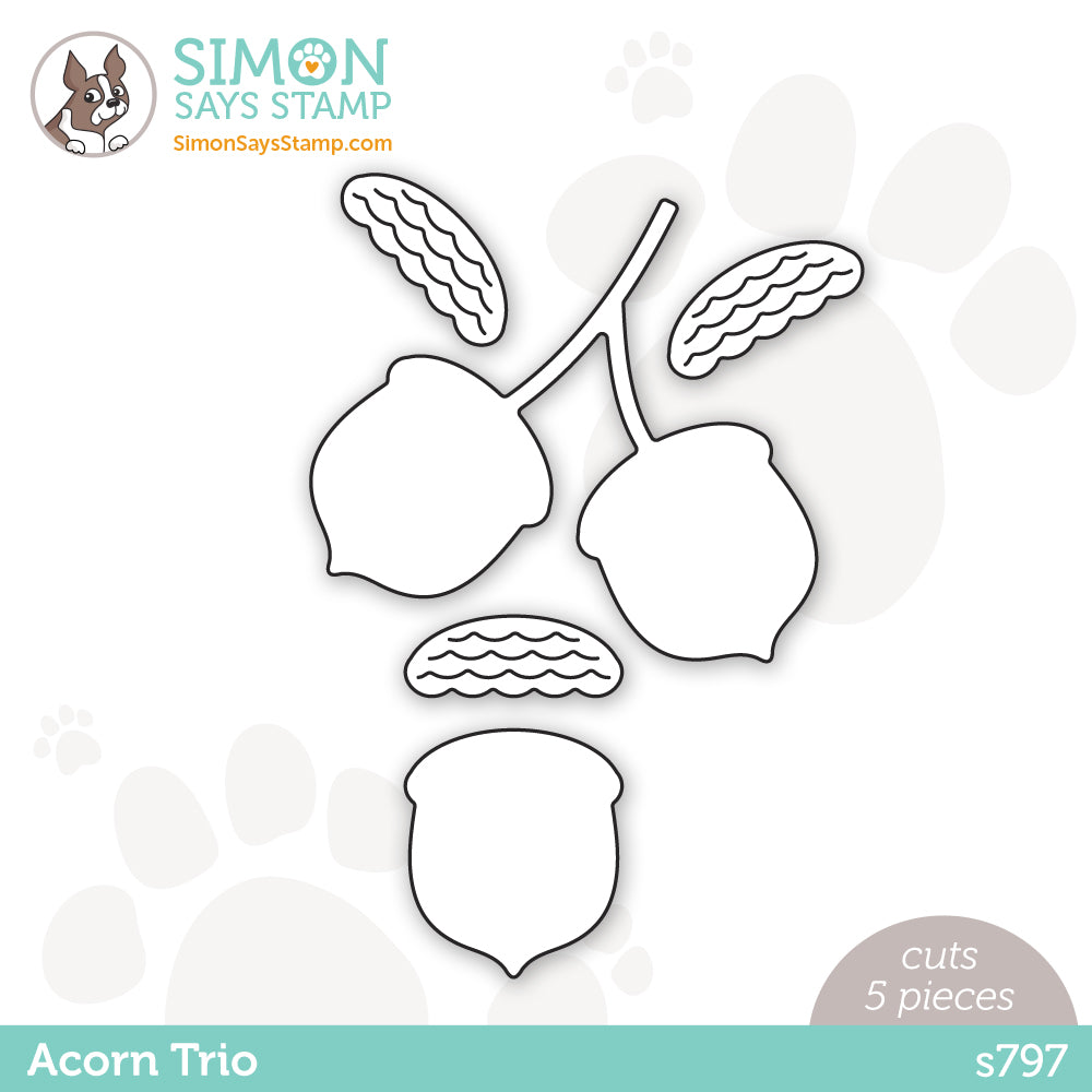 Simon Says Stamp ACORN TRIO Wafer Dies s797