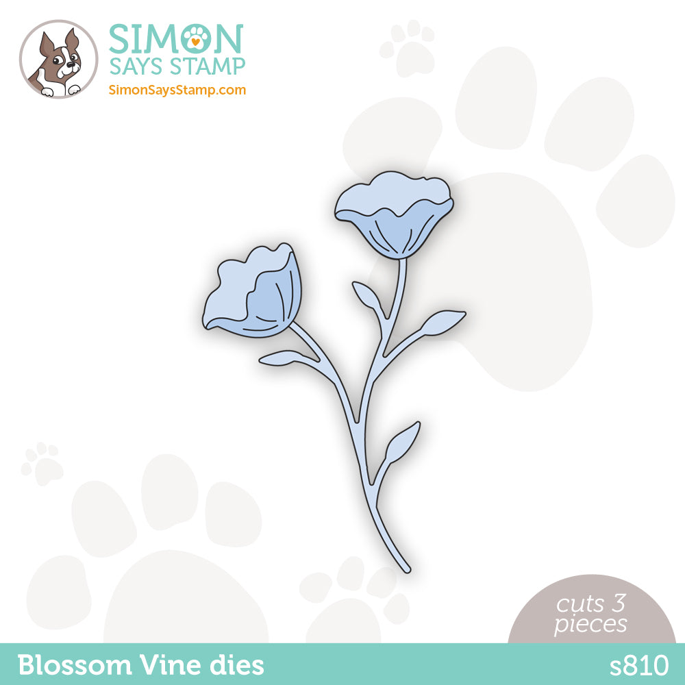 Simon Says Stamp BLOSSOM VINE Wafer Dies s810