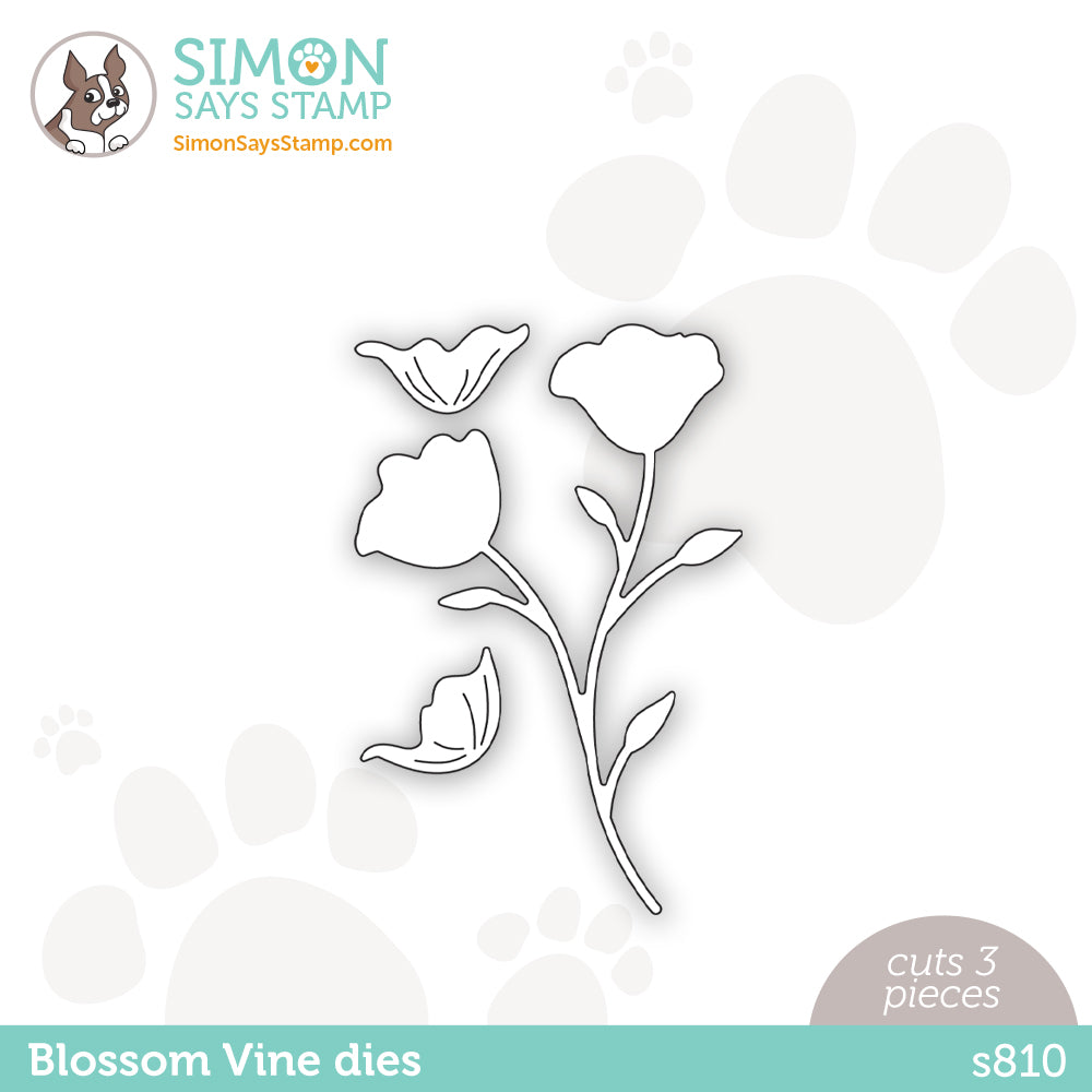 Simon Says Stamp BLOSSOM VINE Wafer Dies s810