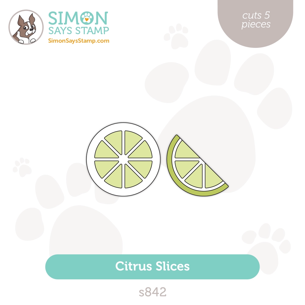 Simon Says Stamp Citrus Slices Wafer Dies s842 Out Of This World