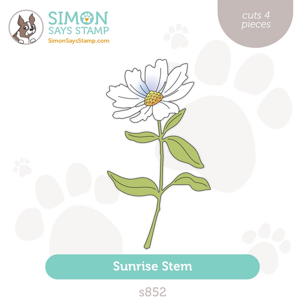 s852_ALTSunriseStem_Storeimage