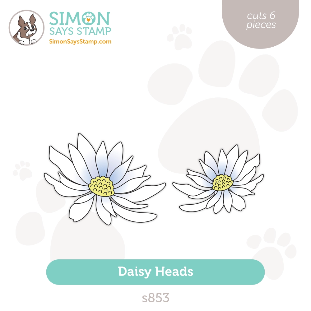 Simon Says Stamp Daisy Heads Dies s853 Just A Note