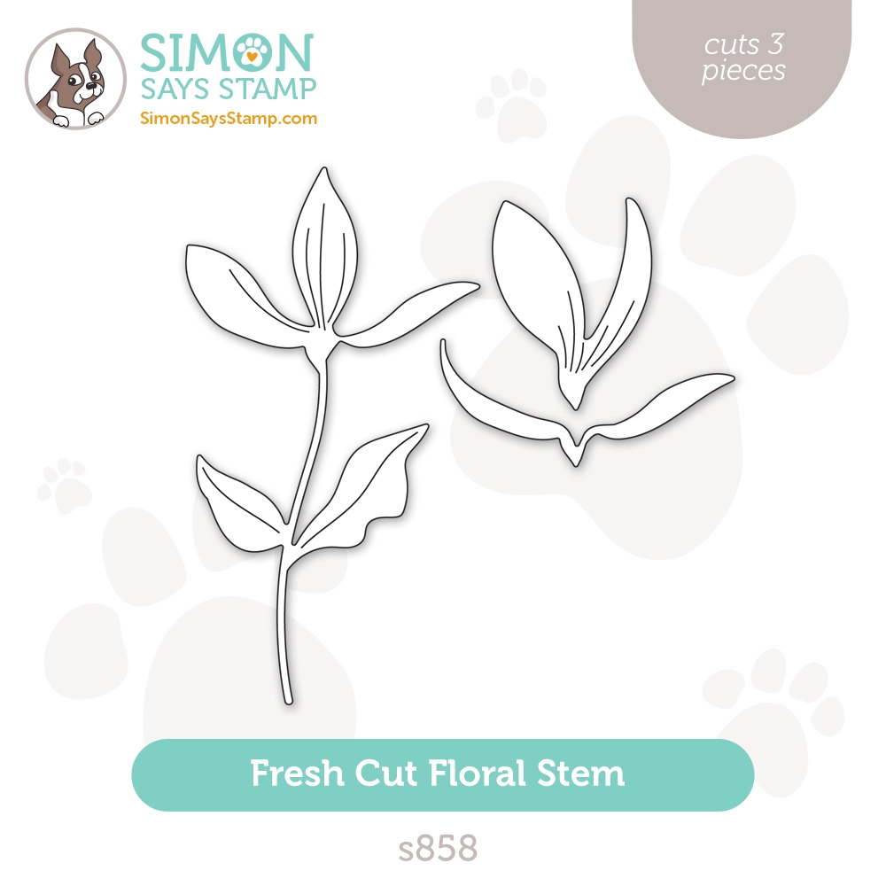 Simon Says Stamp Fresh Cut Fl Stem S858 Just A Note Wafer S Crafting Stamping Supplies From