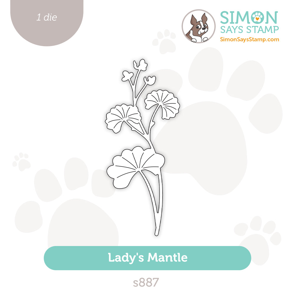 Simon Says Stamp Lady's Mantle Wafer Dies s887 Smitten