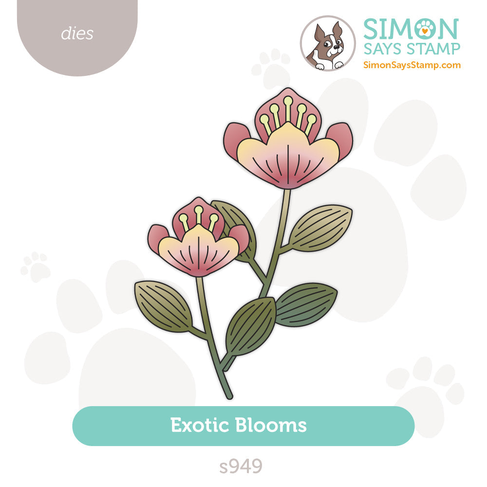 Simon Says Stamp Exotic Blooms Wafer Dies s949 To Love