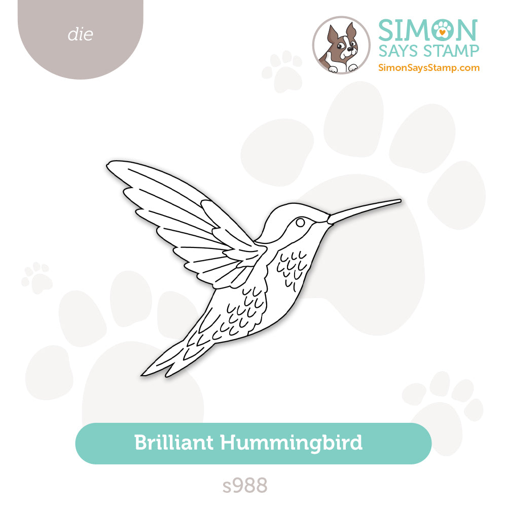Simon Says Stamp Brilliant Hummingbird Wafer Dies s988 Friend Like You
