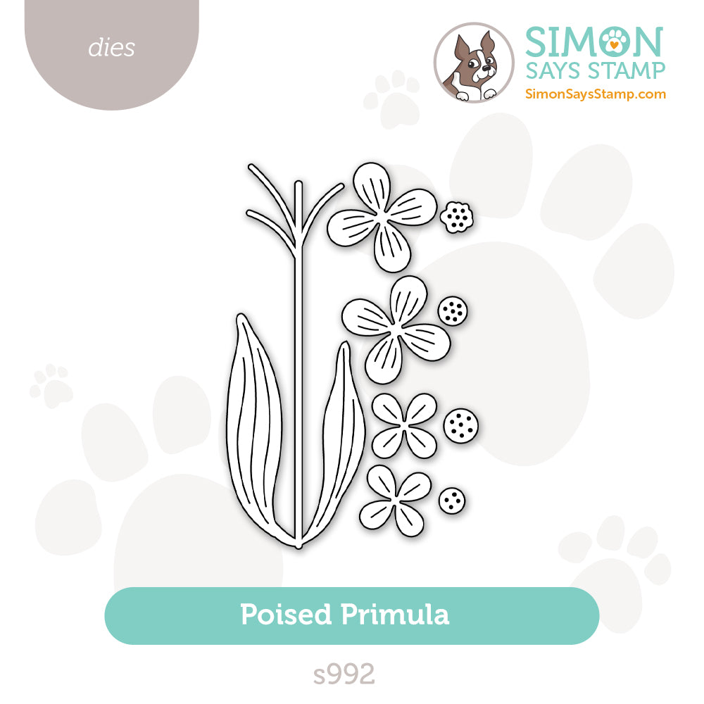 Simon Says Stamp Poised Primula Wafer Dies s992 You Are My Favorite