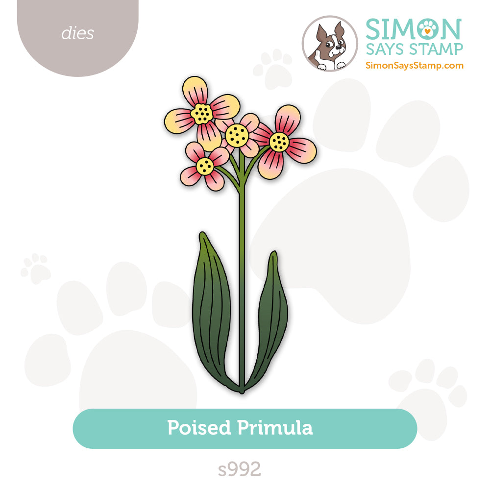 Simon Says Stamp Poised Primula Wafer Dies s992 You Are My Favorite