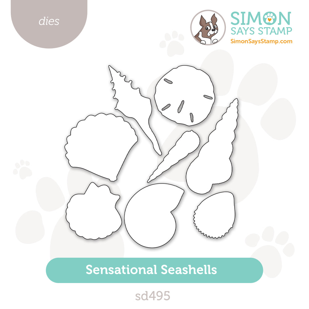 Simon Says Stamp Sensational Seashells Wafer Dies sd495 Friend Like You