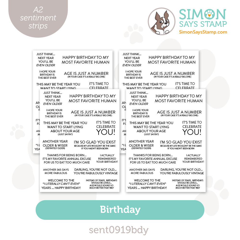 Simon Says Stamp SENTIMENT STRIPS BIRTHDAY sent0919bdy