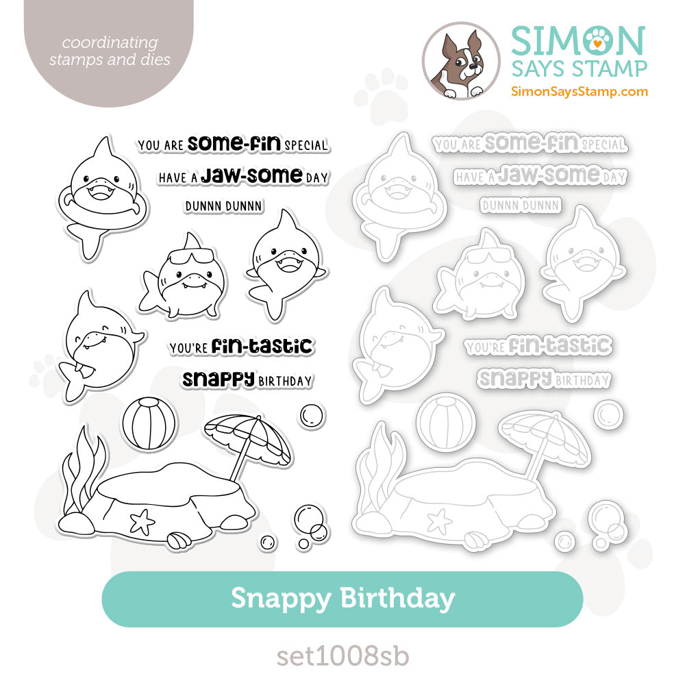 Simon Says Stamps And Dies Snappy Birthday set1008sb Friend Like You