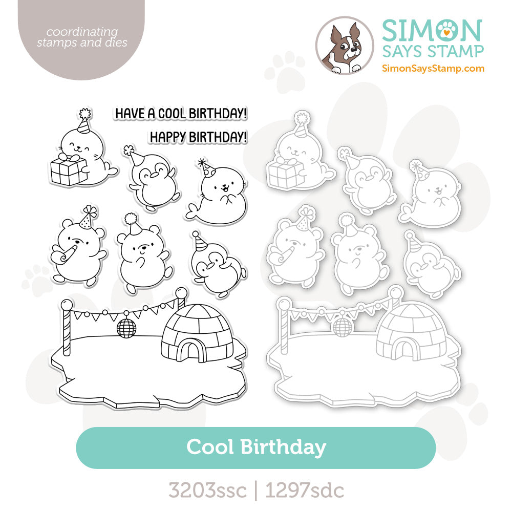 Simon Says Stamps and Dies Cool Birthday set1026cb