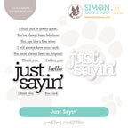 CZ Design Stamps And Dies Just Sayin set1124js DieCember