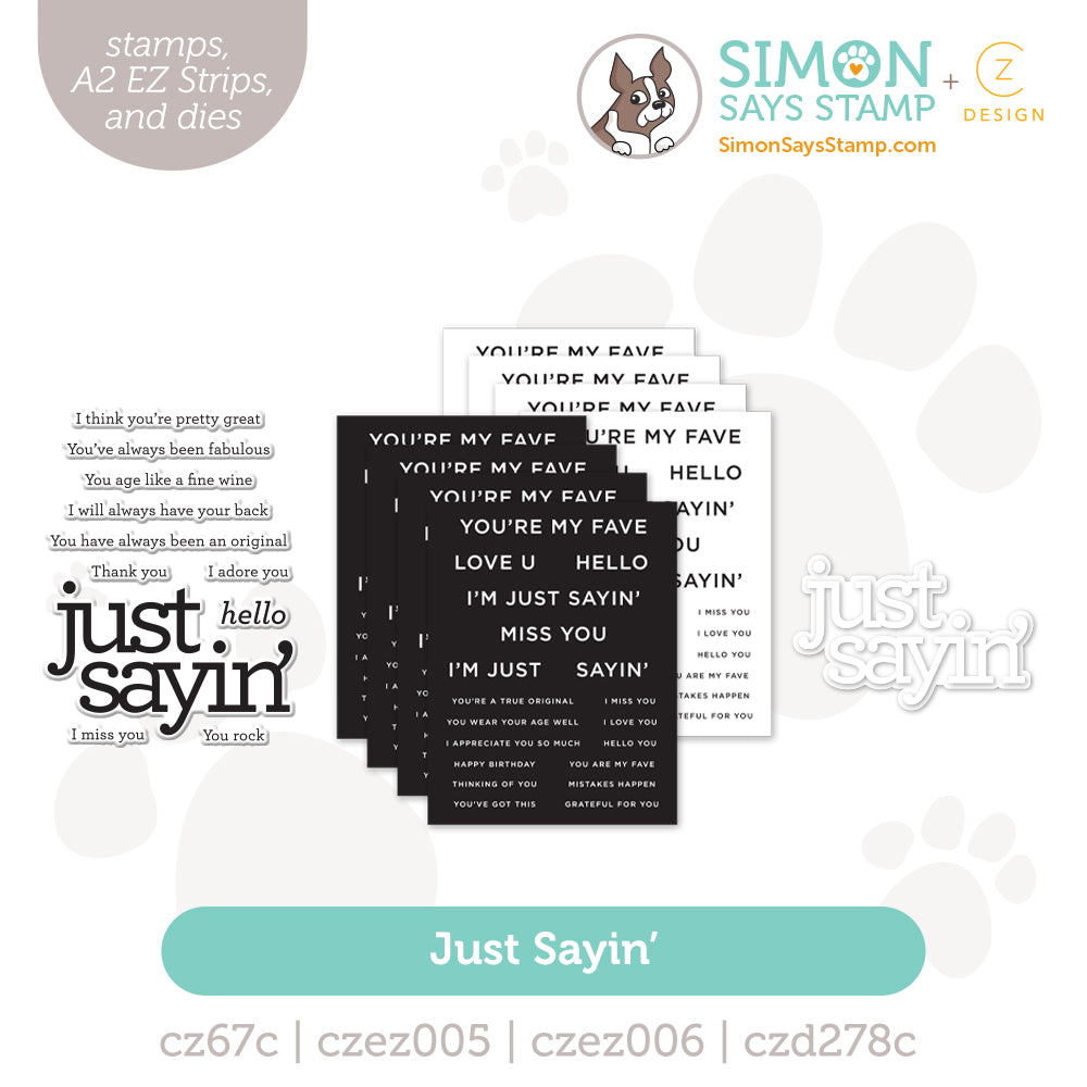 CZ Design Just Sayin Bundle set1126js DieCember