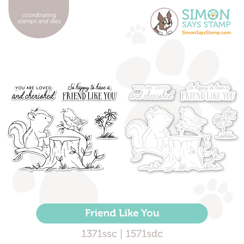 Simon Says Stamps and Dies Friend Like You set1166fl Beautiful Moments