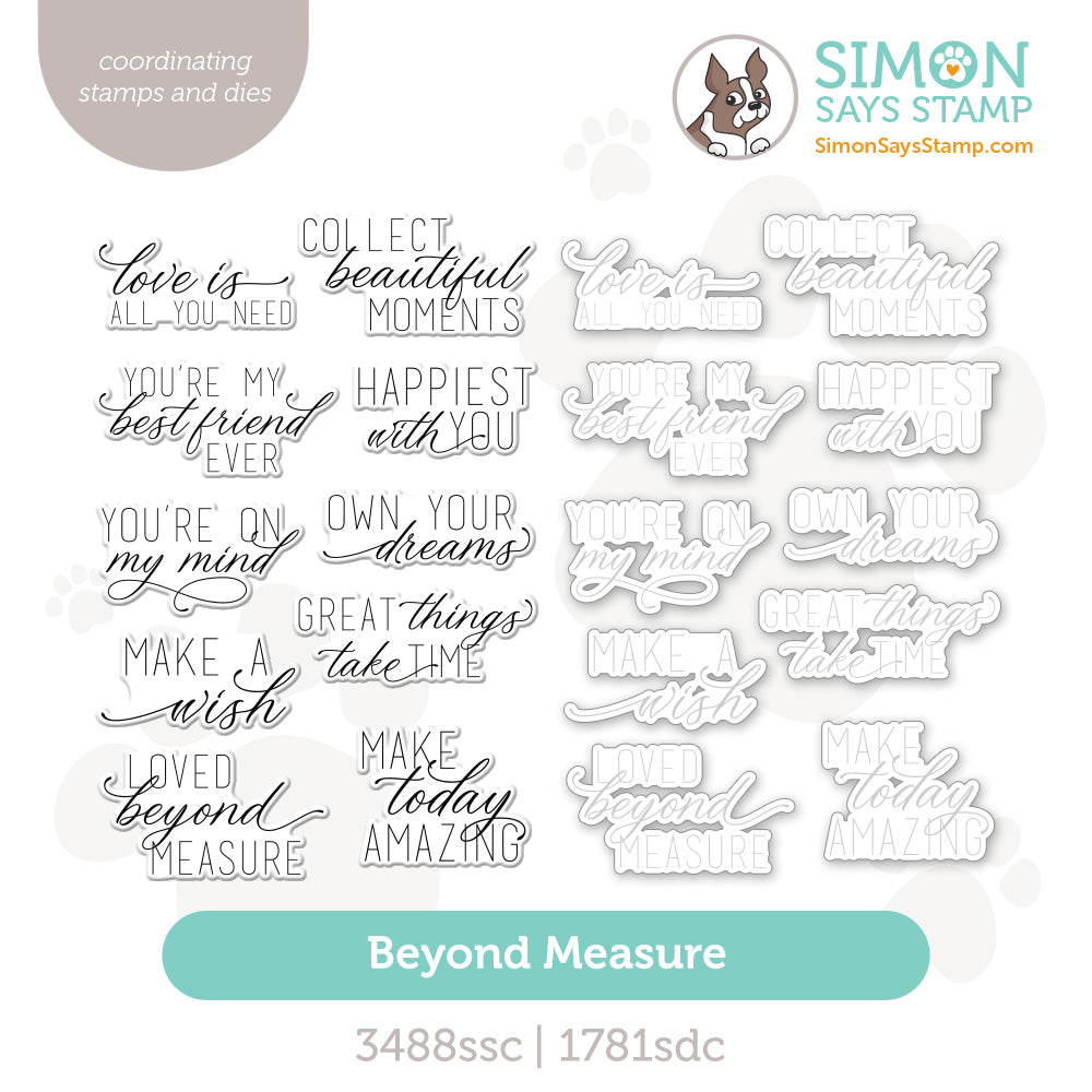Simon Says Stamps And Dies Beyond Measure set1315bm