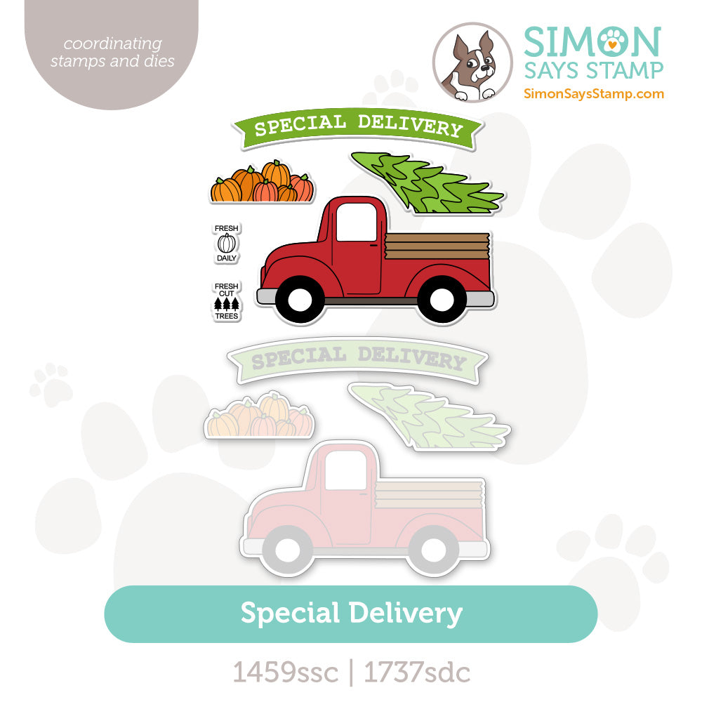 Simon Says Stamps And Dies Special Delivery set1320sd