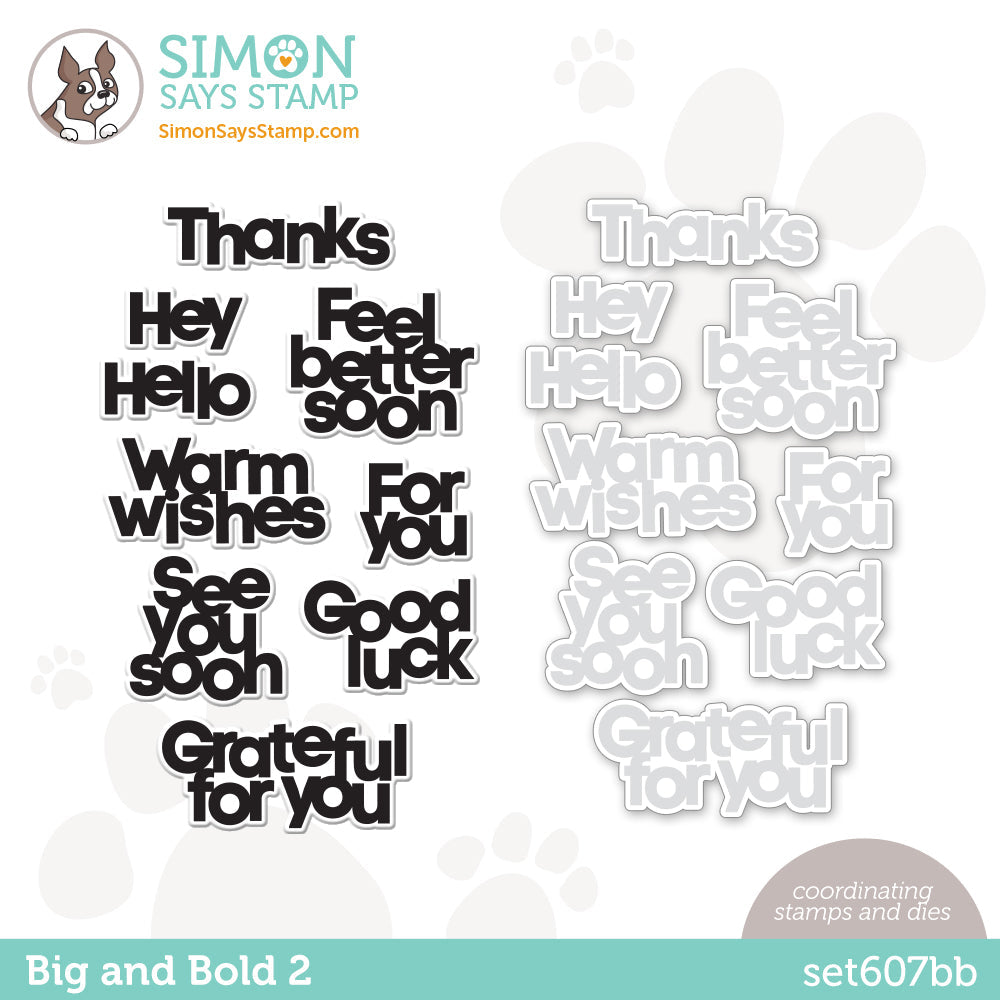 Simon Says Stamps and Dies BIG AND BOLD 2 set607bb Be Creative