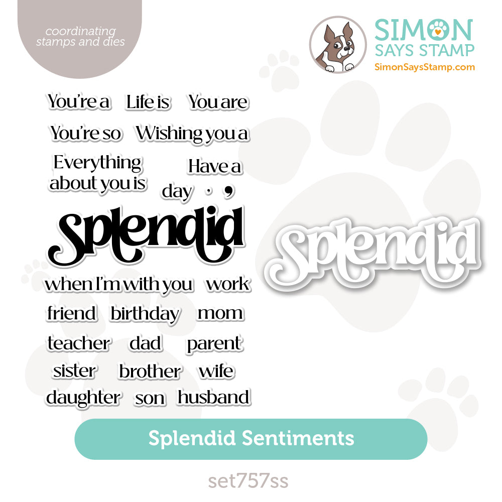 Simon Says Stamps And Dies Splendid Sentiments set757ss Be Bold