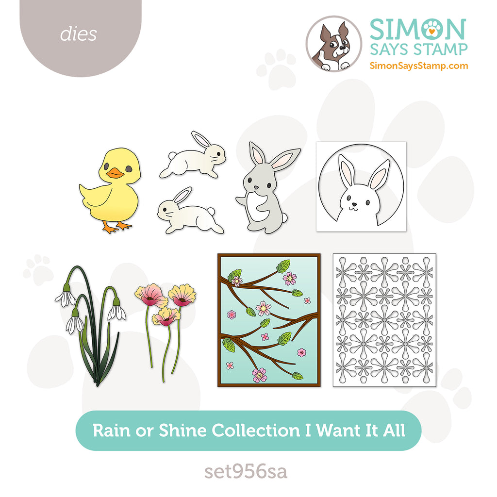 Simon Says Stamp Rain or Shine Collection I Want It All Stand-Alone Dies set956sa