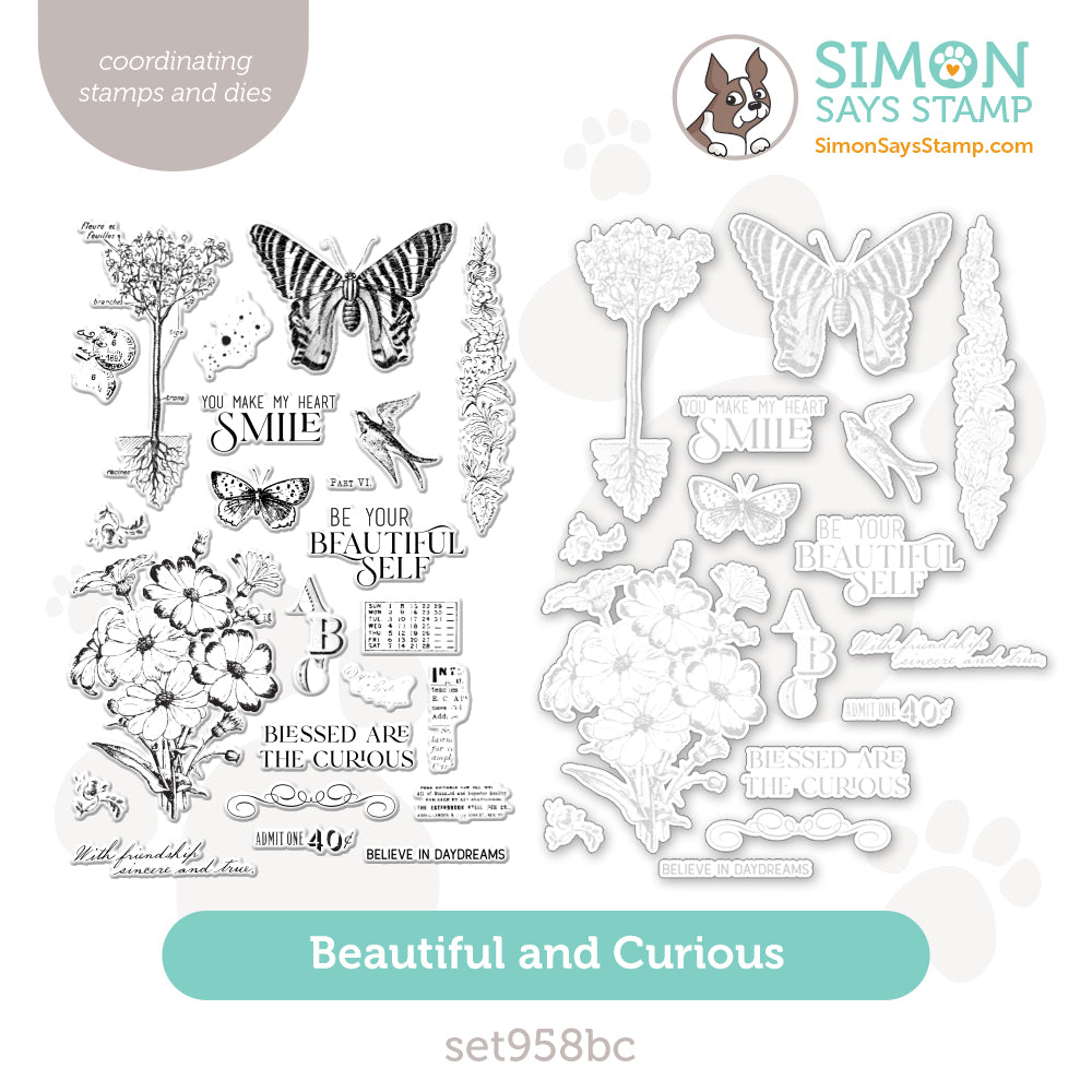 Simon Says Stamps And Dies Beautiful And Curious set958bc You Are My Favorite