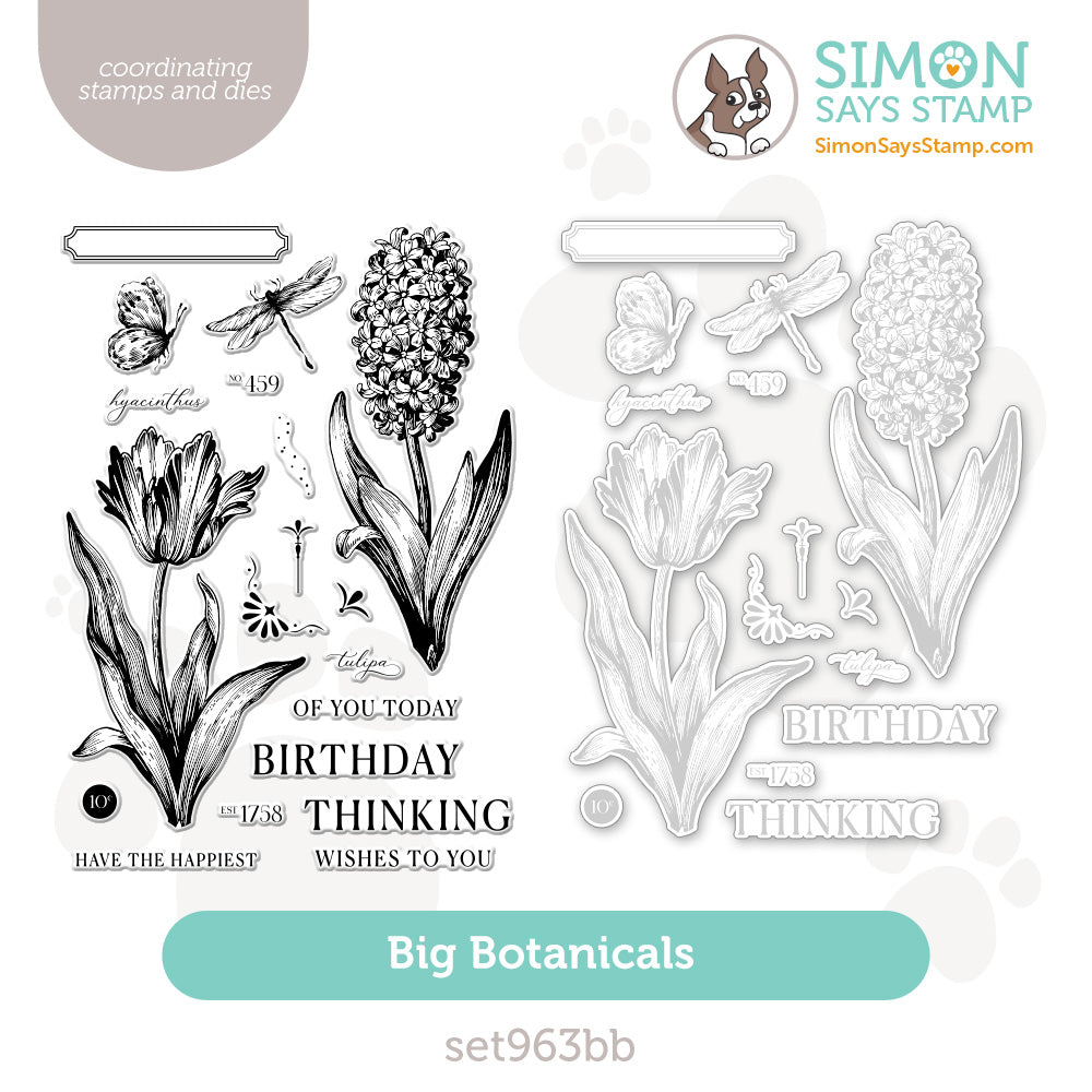 Simon Says Stamps and Dies Big Botanicals set963bb You Are My Favorite