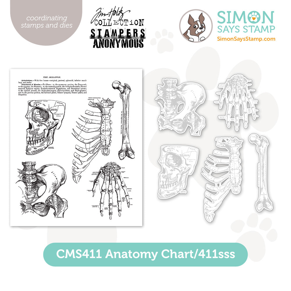 Tim Holtz Anatomy Chart Stamps with Simon Says Stamp Dies Bundle setac26