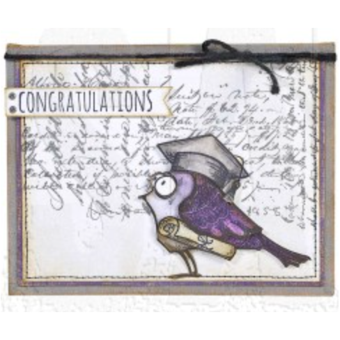 setcr24_CrazyThings_storeimage graduation