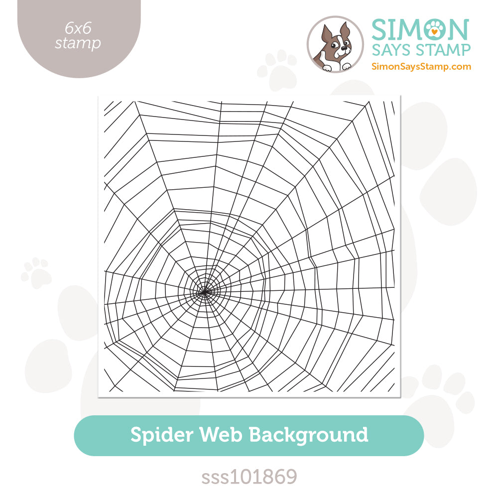 Simon Says Clear Stamp SPIDER WEB sss101869