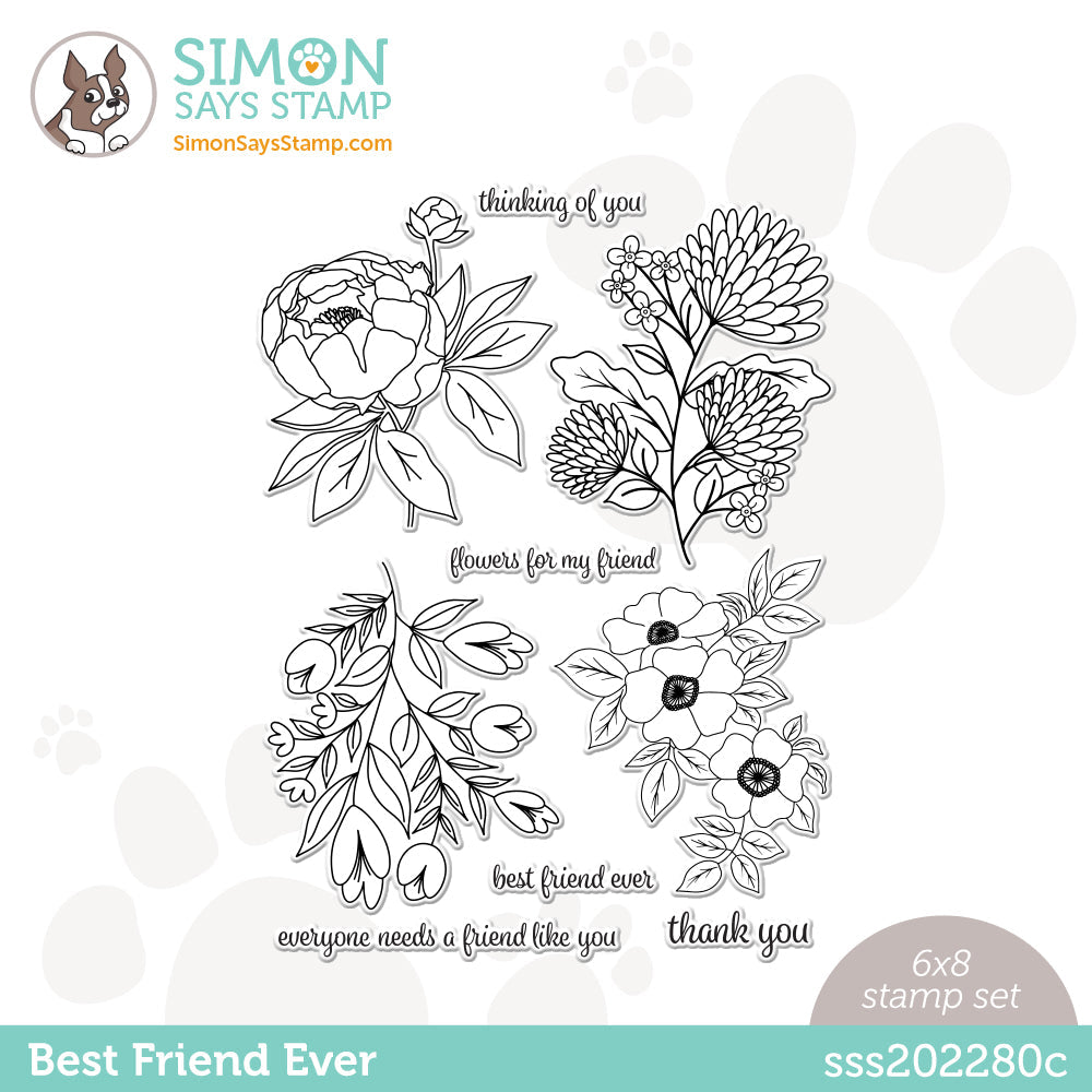 Simon Says Clear Stamps BEST FRIEND EVER sss202280c *
