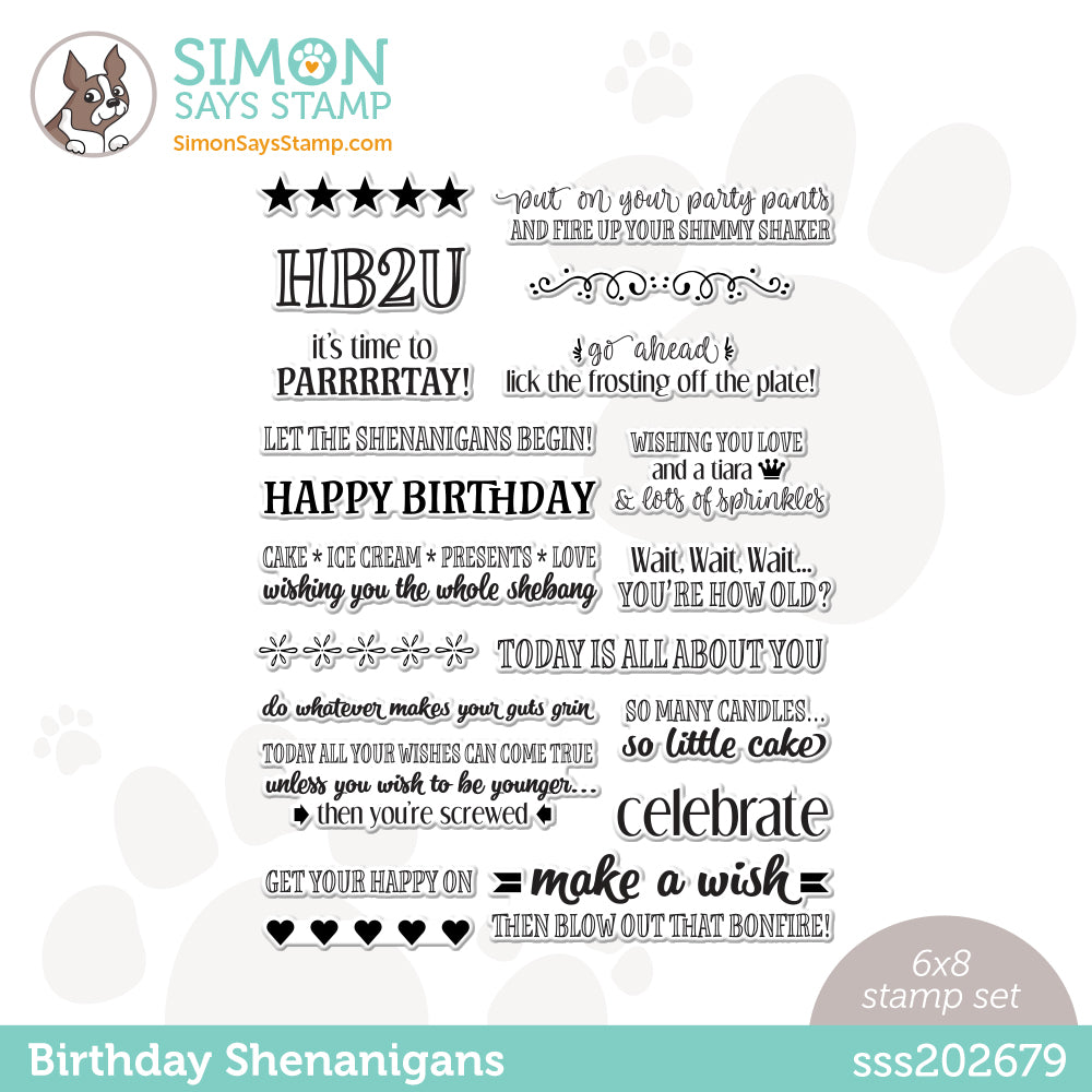 Simon Says Clear Stamps Birthday Shenanigans sss202679 Out Of This World