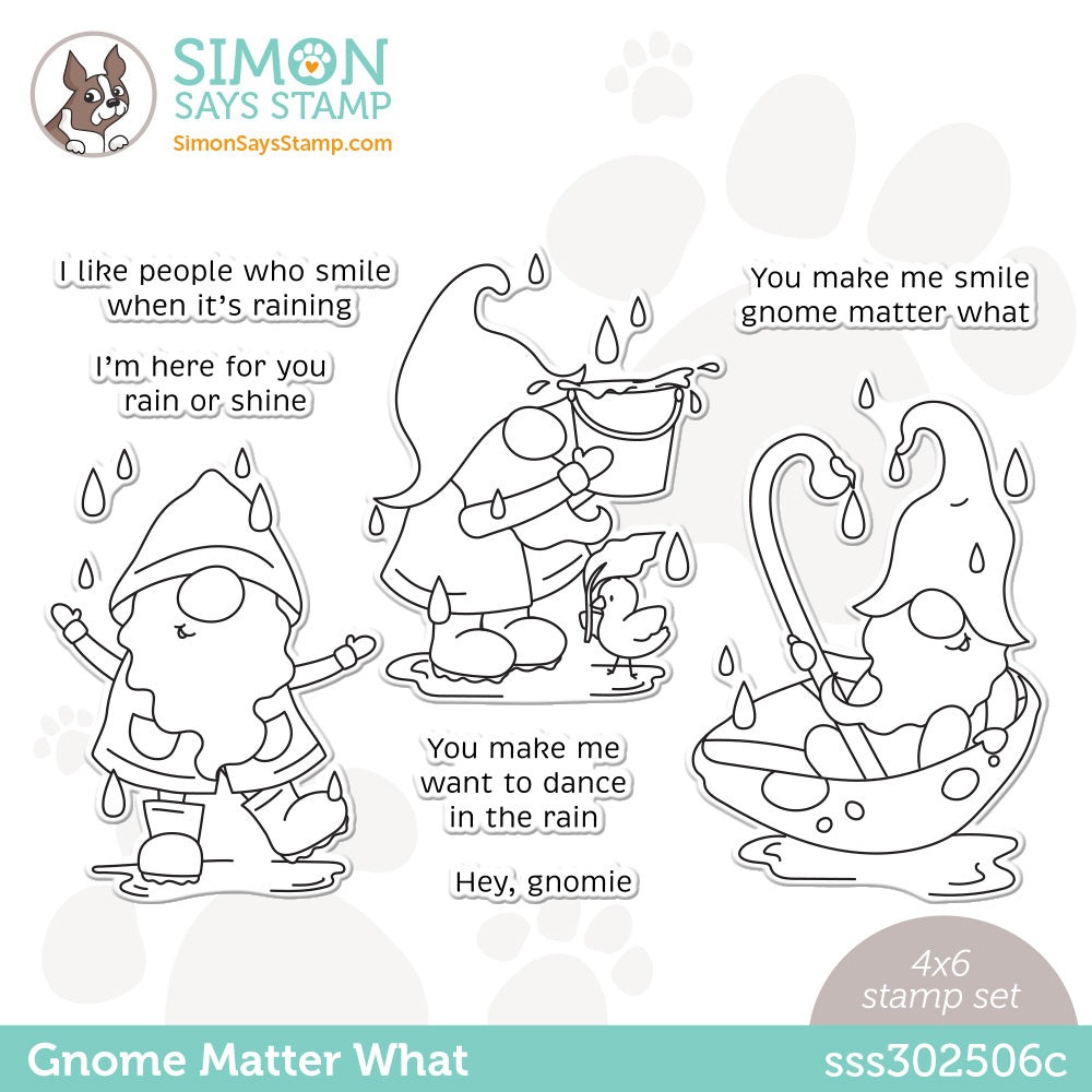 Simon Says Clear Stamps GNOME MATTER WHAT sss302506c *