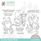Simon Says Clear Stamps GNOME MATTER WHAT sss302506c *