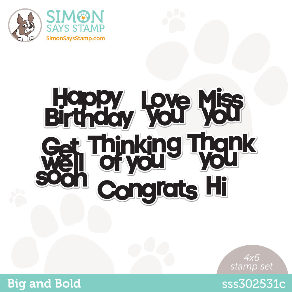 Simon Says Clear Stamps BIG AND BOLD sss302531c